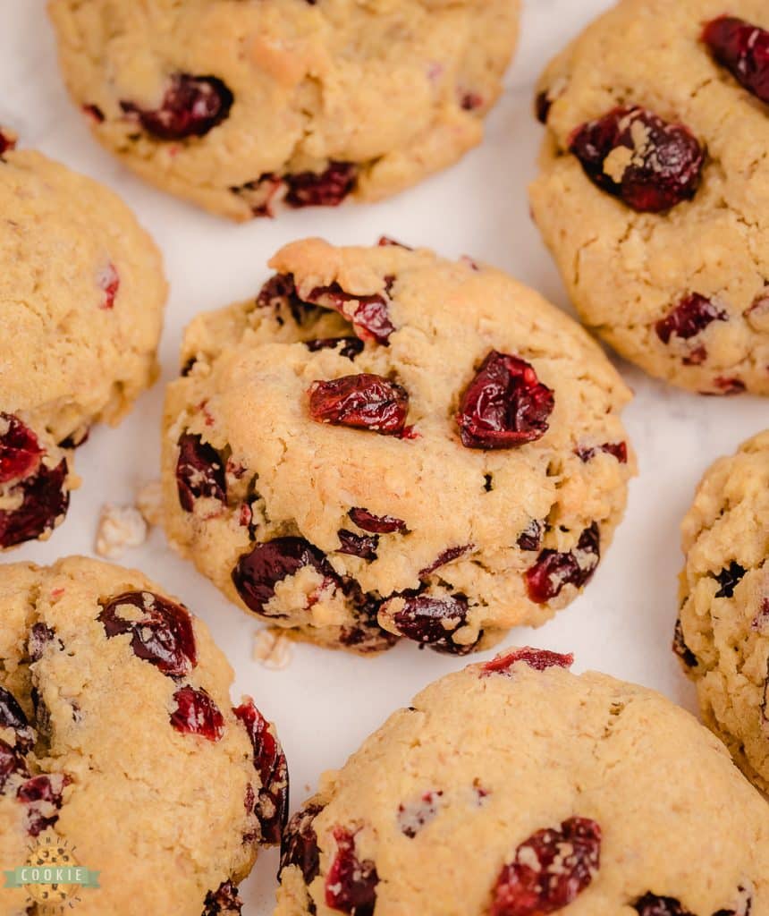 soft and chewy oatmeal cookies with Craisins