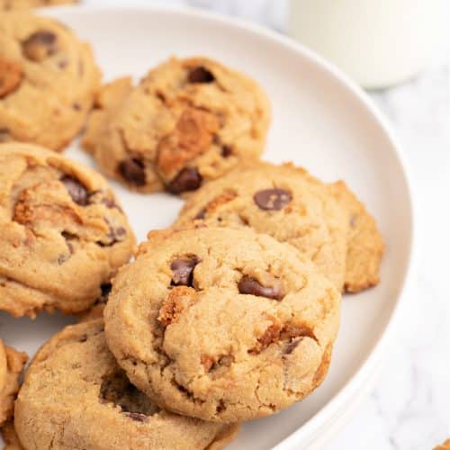 BISCOFF CHOCOLATE CHIP COOKIES - Family Cookie Recipes