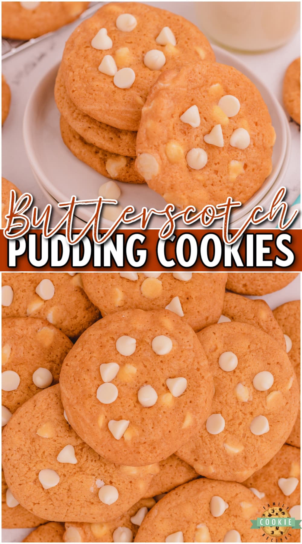 Butterscotch Pudding Cookies are a delightful cookie with great butterscotch flavor! This butterscotch cookie recipe is so simple to make & the pudding gives them the best texture & taste.