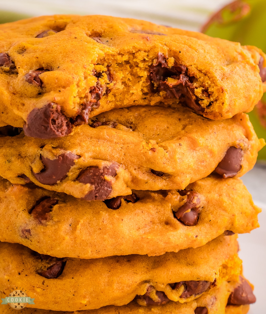 pumpkin cookies with chocolate chips