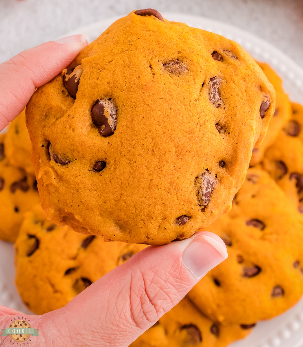 holding up a pumpkin chocolate chip cookie