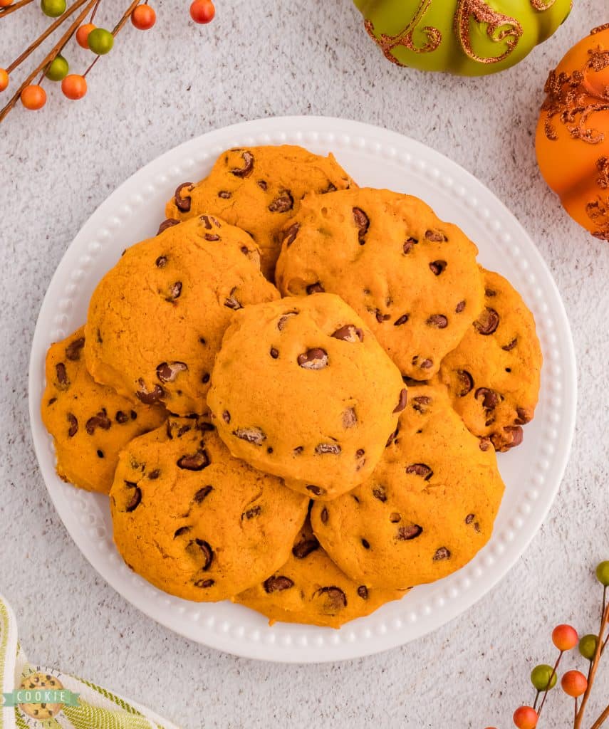 SPICED PUMPKIN CHOCOLATE CHIP COOKIES Family Cookie Recipes