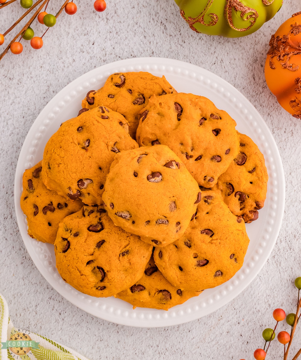 homemade spiced pumpkin chocolate chip cookies