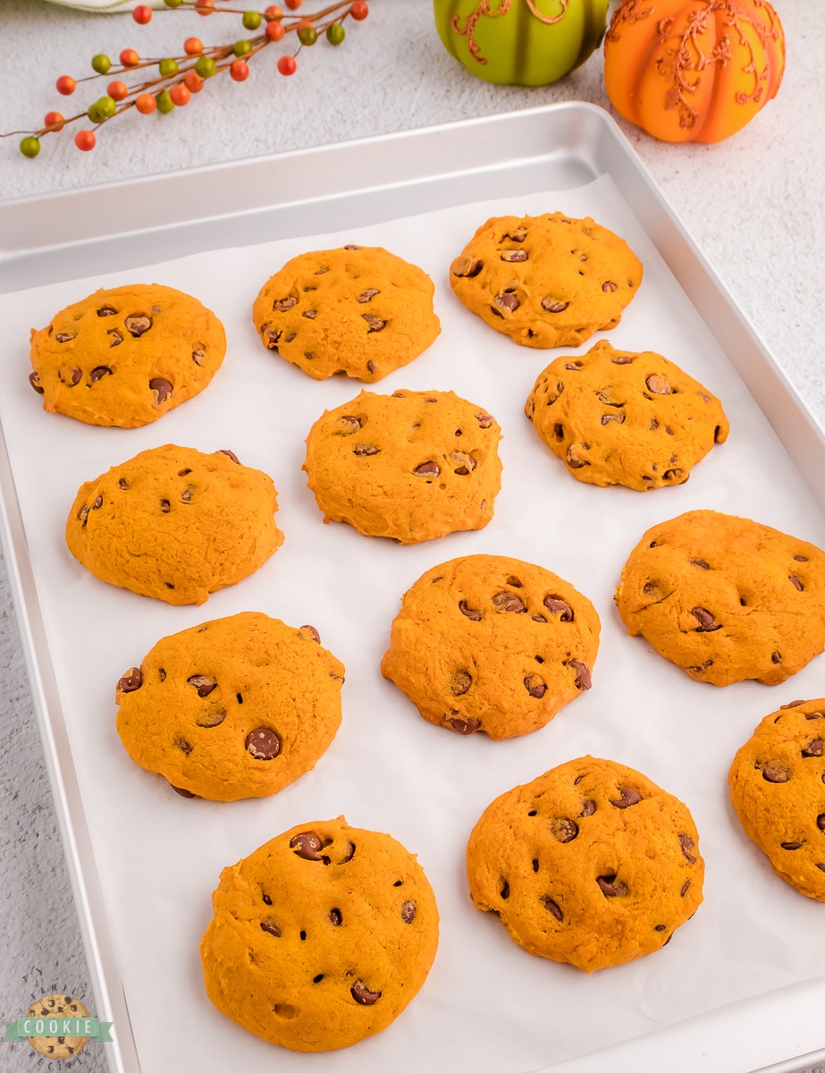 fresh baked pumpkin chocolate chip cookies