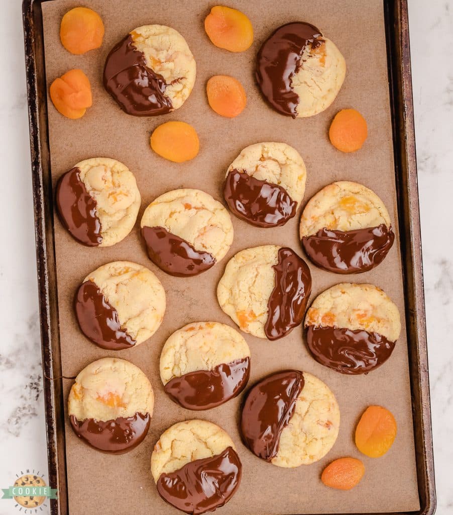 tray of apricot cookies dipped in chocolate