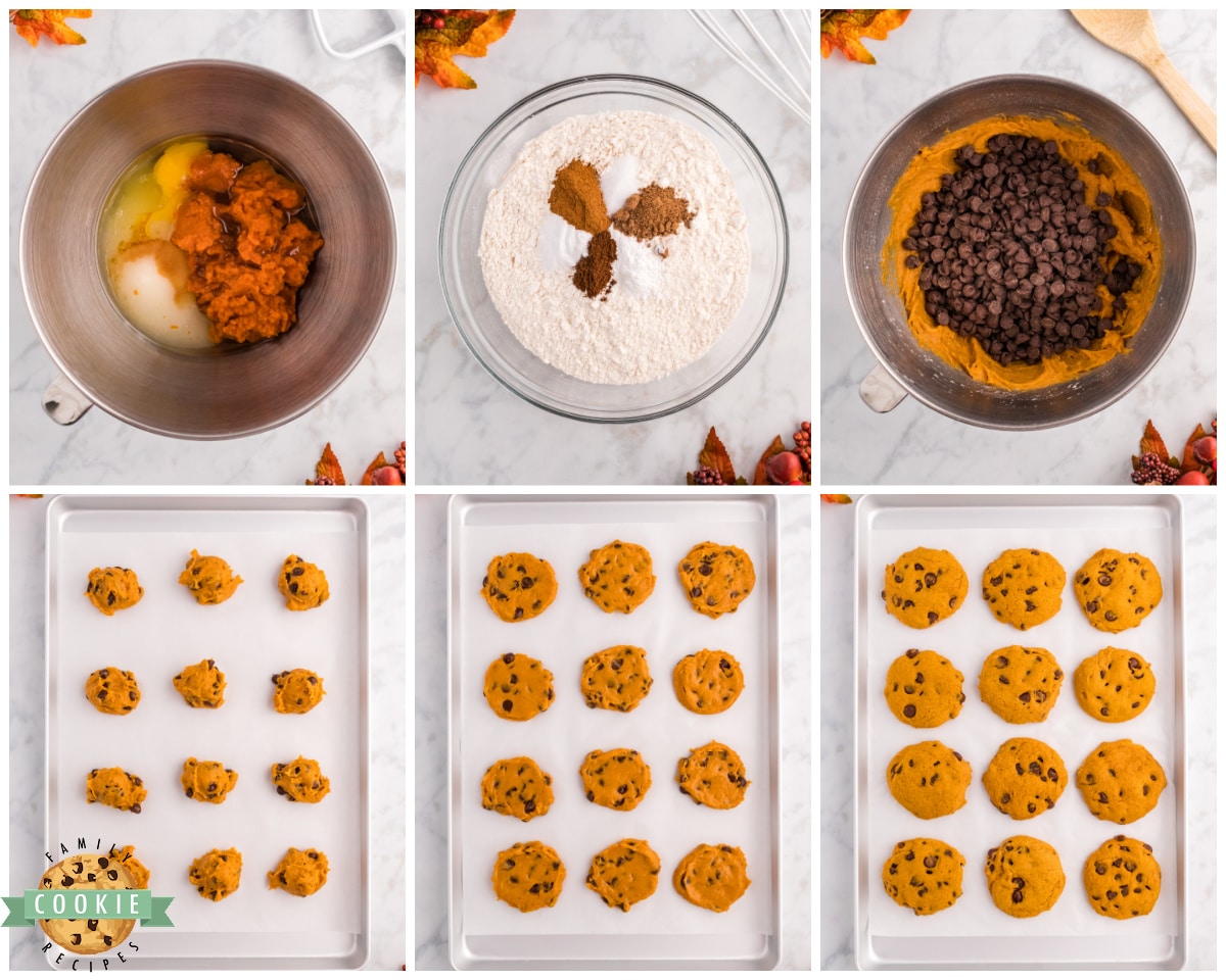 making pumpkin chocolate chip cookies