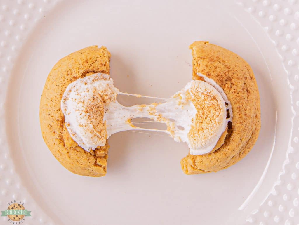 sweet potato cookie topped with a toasted marshmallow