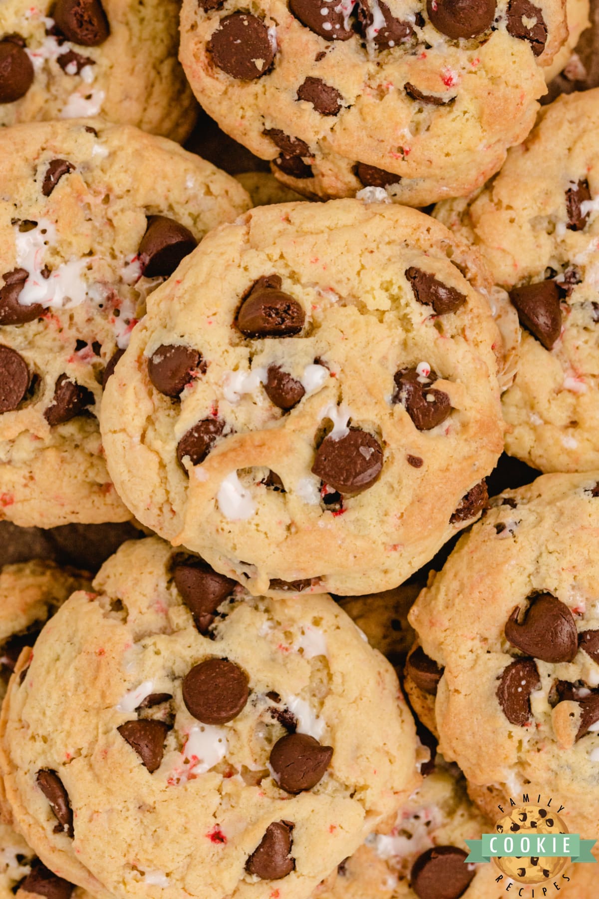 Peppermint Chocolate Chip Cookies made with vanilla pudding mix, crushed candy canes and peppermint extract. Soft and chewy cookies that are perfect for the holidays!