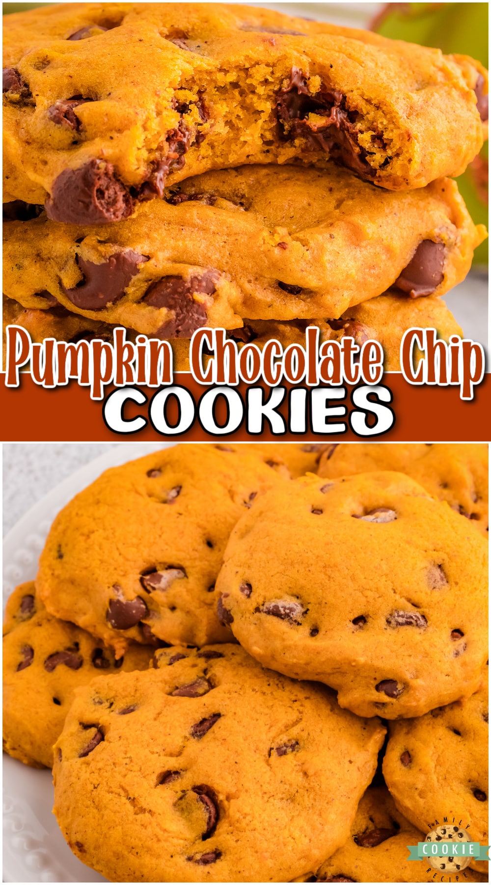 Spiced Pumpkin Chocolate Chip Cookies are made with pumpkin & a fantastic blend of Fall spices!! This pumpkin chocolate chip cookies recipe yields soft, pillowy cookies made with classic ingredients!