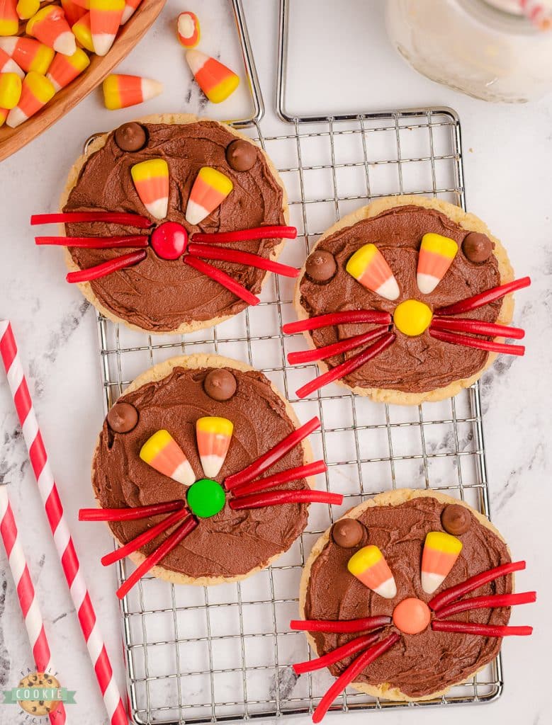 Halloween Scaredy cat cookies on a cooling rack
