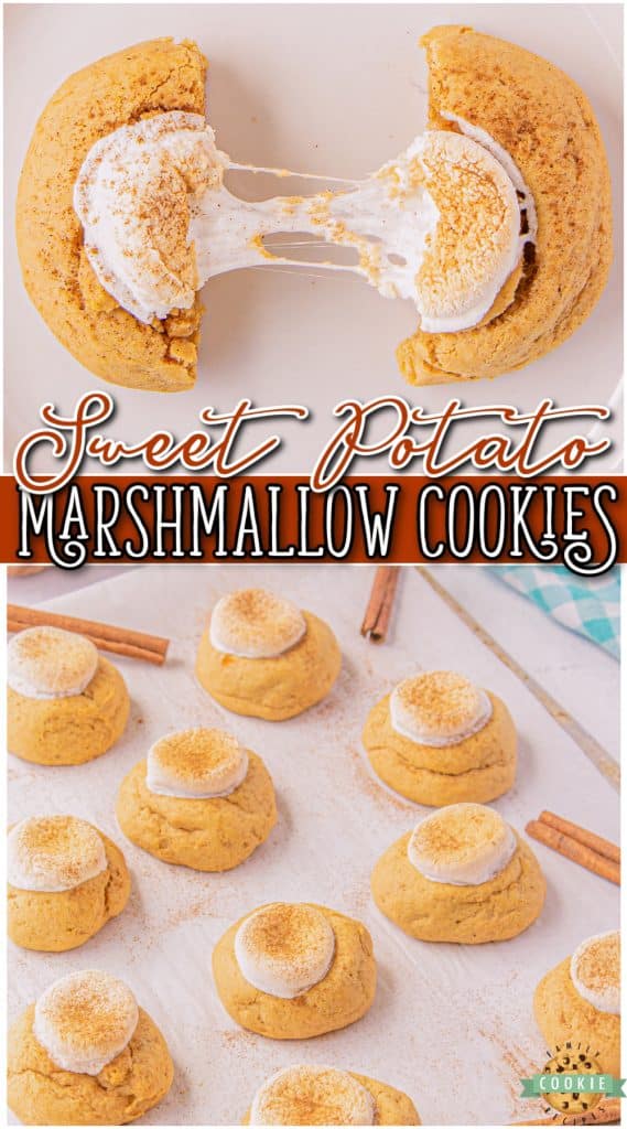Marshmallow Sweet Potato Cookies are soft, sweet cookies with fabulous fall flavors! Sweet potato cookie recipe that's spiced with cinnamon & topped with a marshmallow!