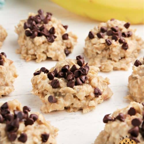 BANANA OATMEAL NO BAKE COOKIES Family Cookie Recipes