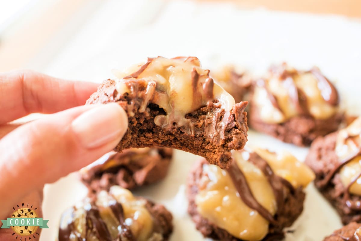 Chocolate cookies with creamy coconut pecan topping