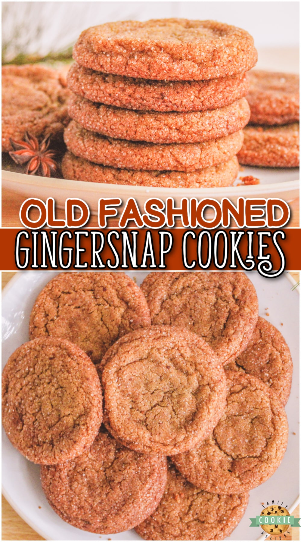 Gingersnap Cookies are a crisp, spicy & iconic holiday favorite! Make some gingersnap cookies at home and enjoy this classic recipe.