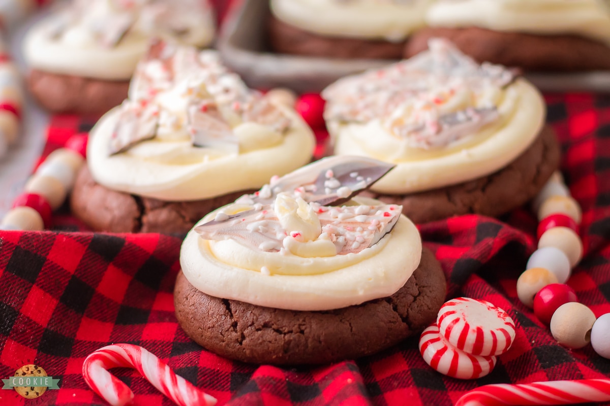 bakery style chocolate peppermint cookies