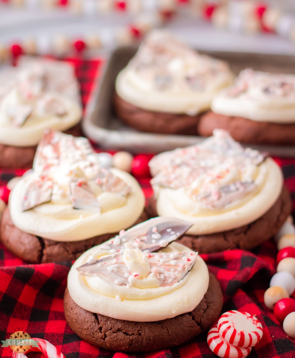 holiday chocolate peppermint cookies