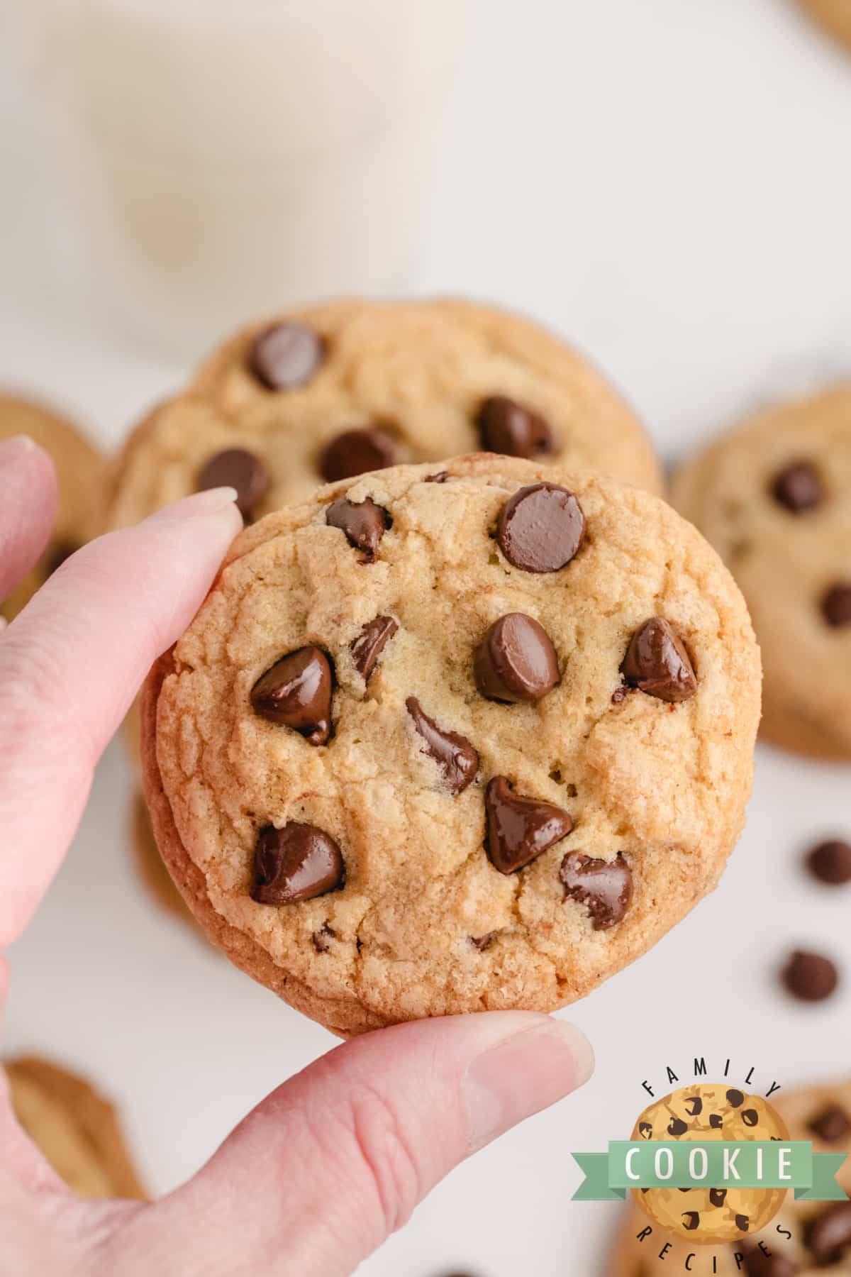 Homemade chocolate chip cookie.