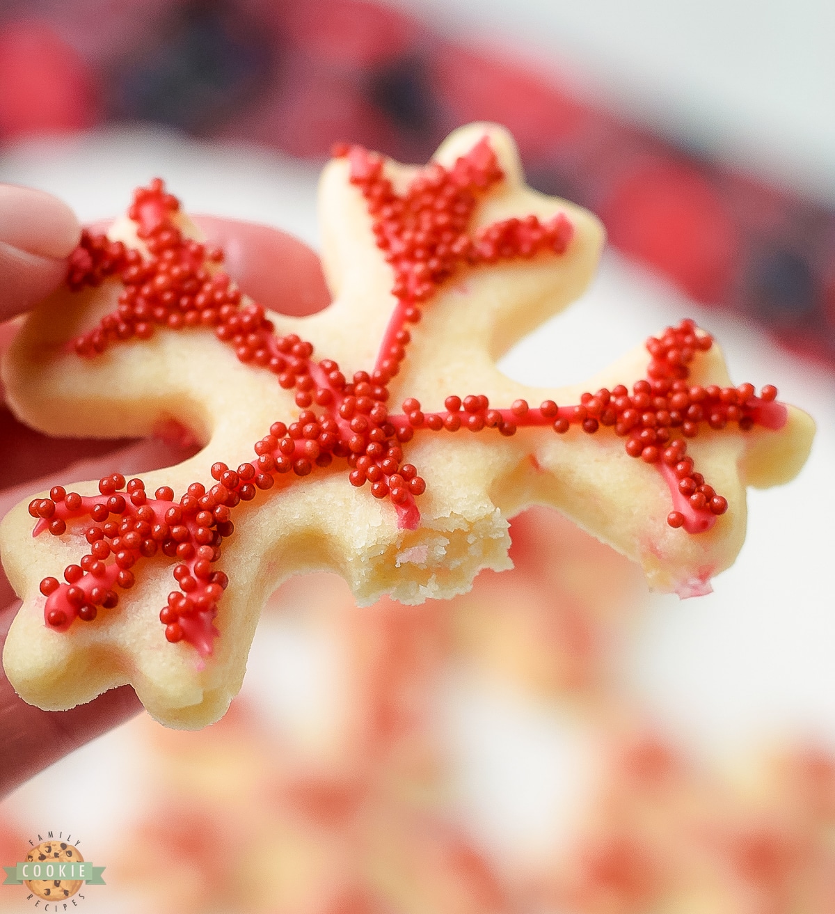 bite out of a peppermint sugar cookie