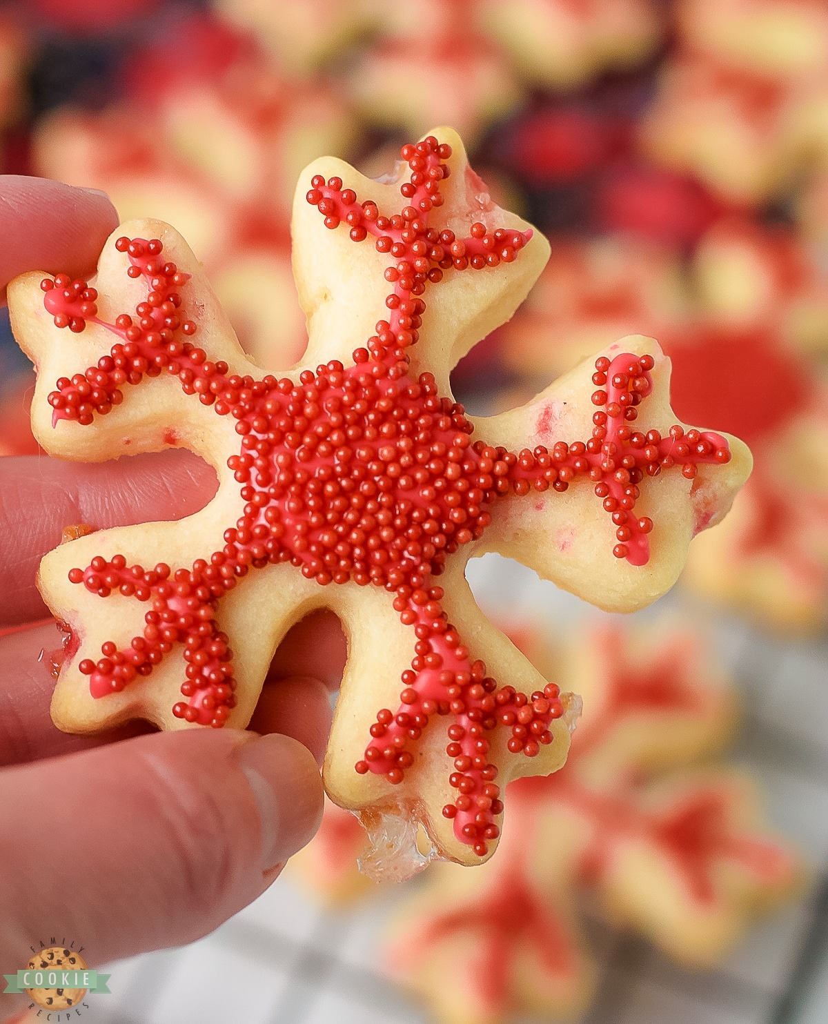 holding up a red peppermint cut out Christmas cookie