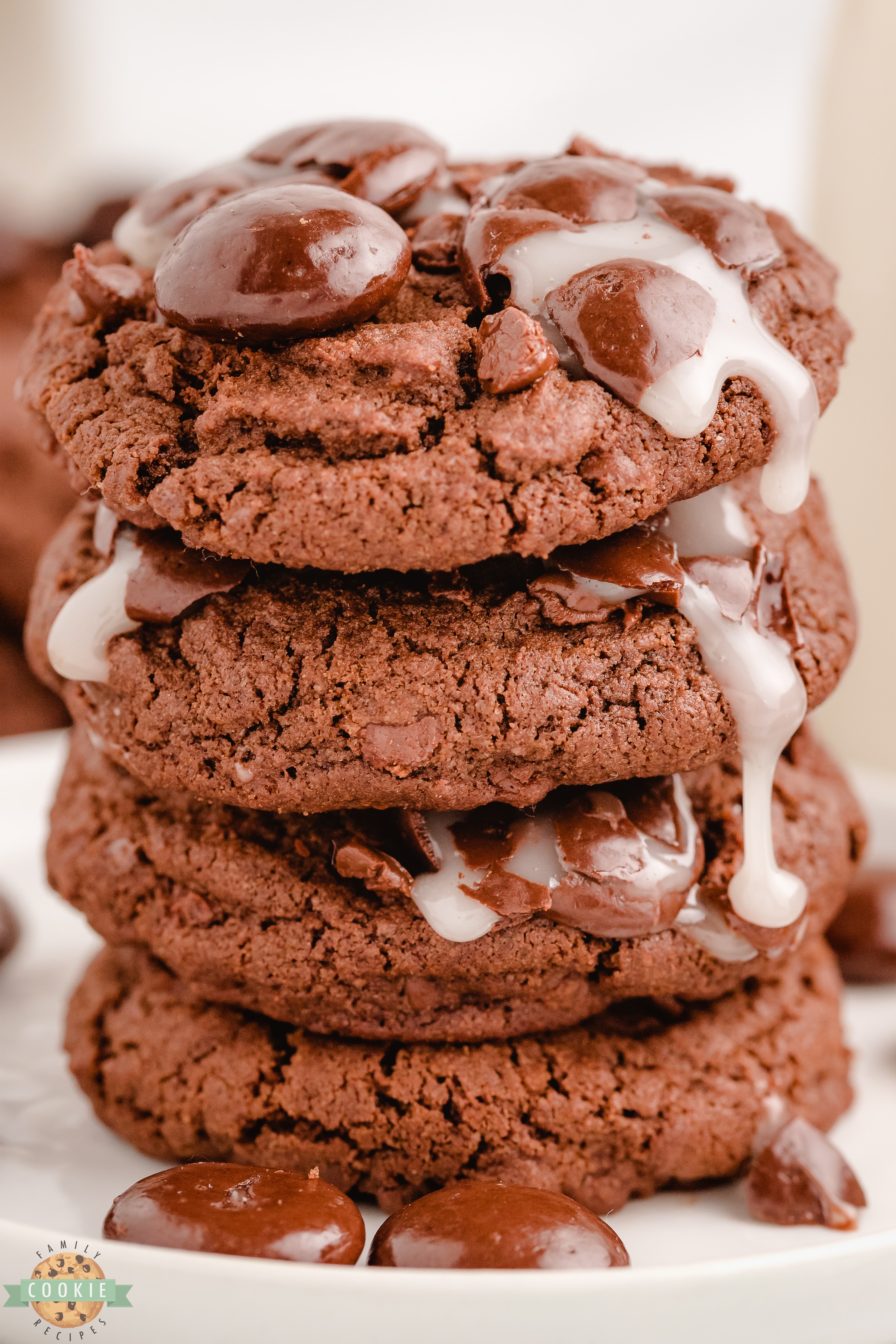 Chocolate Junior Mint Cookies