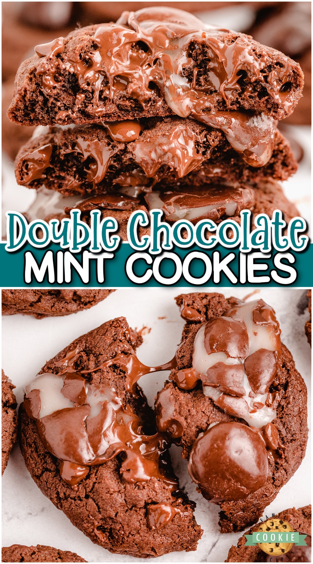 Double Chocolate Junior Mint Cookies are chewy chocolate cookies topped with Junior Mints! Perfect fudge cookie recipe for mint chocolate lovers.