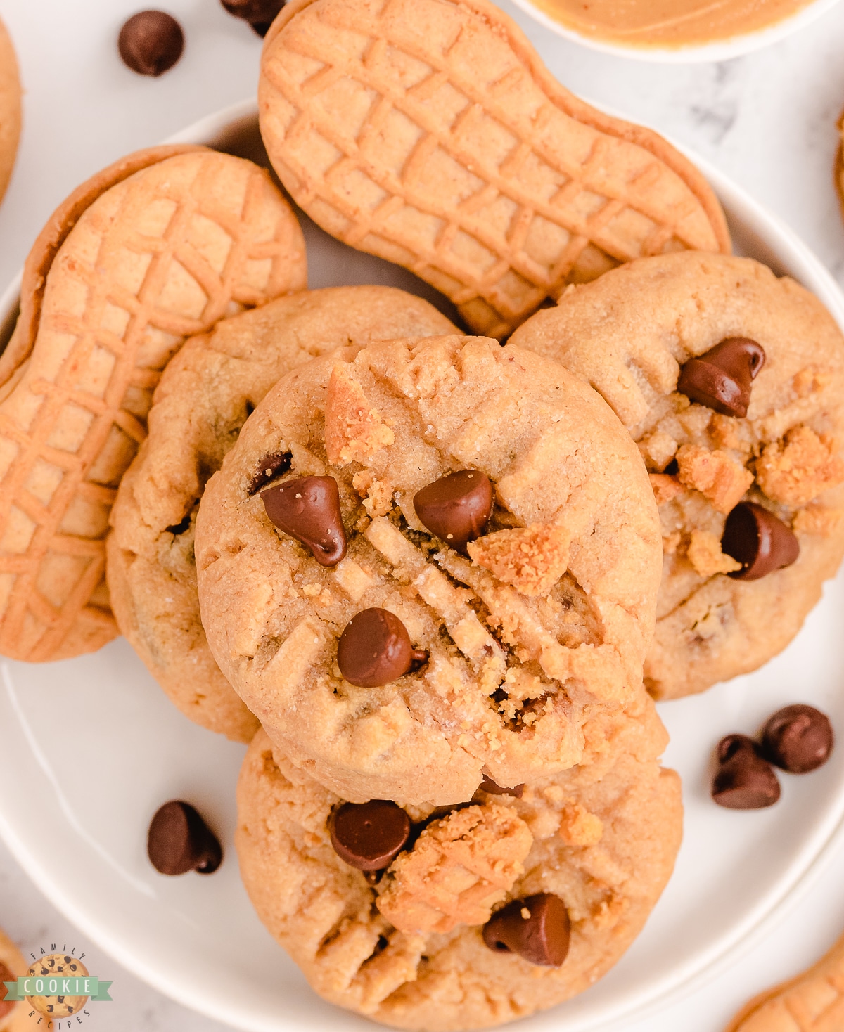 Nutter Butter Cookies in a chocolate chip peanut butter cookie