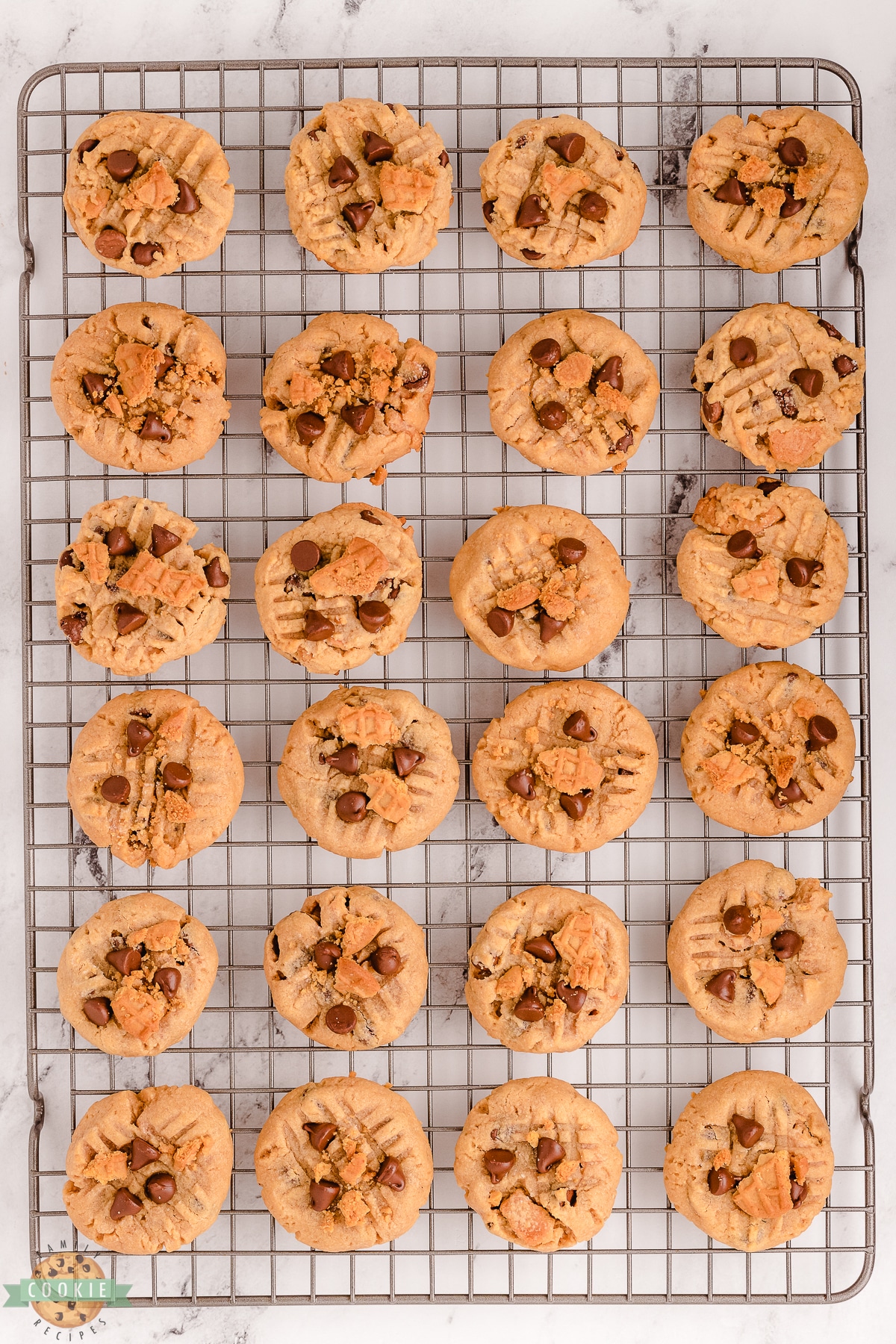 peanut butter chocolate chip cookies on a cooling rack