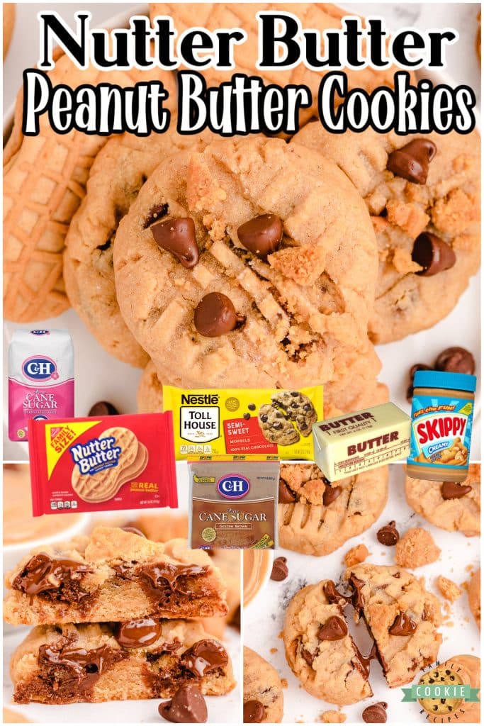 NUTTER BUTTER CHOCOLATE CHIP PEANUT BUTTER COOKIES Family Cookie Recipes