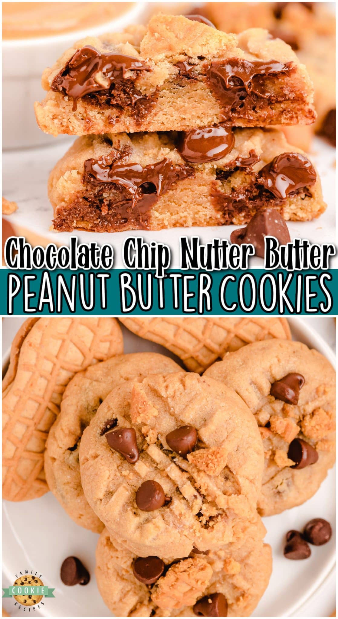 NUTTER BUTTER CHOCOLATE CHIP PEANUT BUTTER COOKIES - Family Cookie Recipes