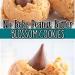 No-bake Peanut Butter Blossoms made with only 5 ingredients in 10 minutes & perfect for chocolate peanut butter lovers! Amazing peanut butter no bake cookies that mimic the traditional blossom cookie everyone loves!