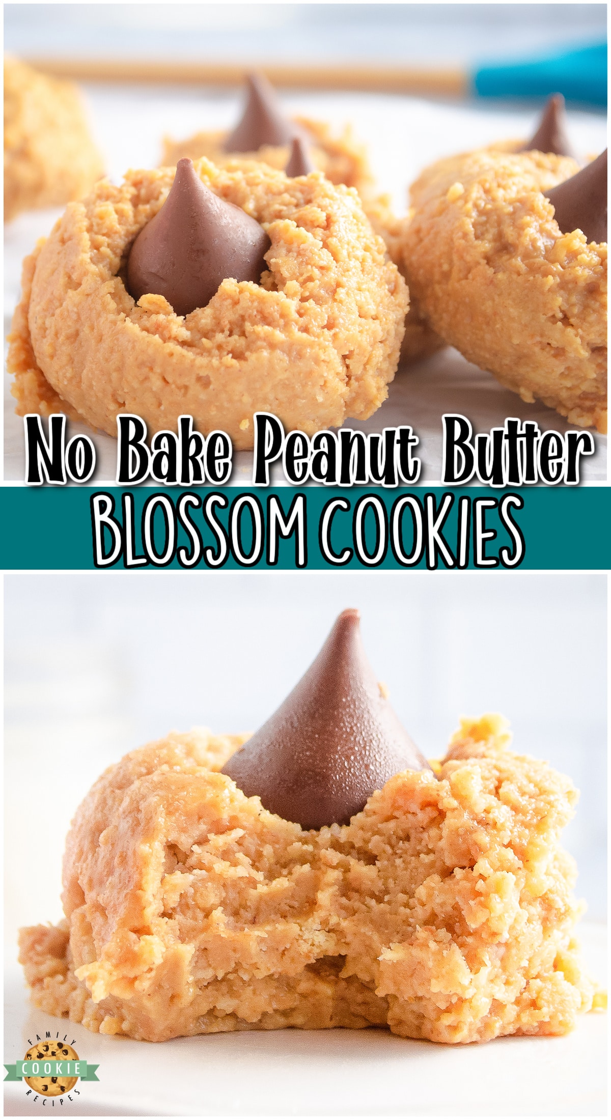 No-bake Peanut Butter Blossoms made with only 5 ingredients in 10 minutes & perfect for chocolate peanut butter lovers! Amazing peanut butter no bake cookies that mimic the traditional blossom cookie everyone loves!