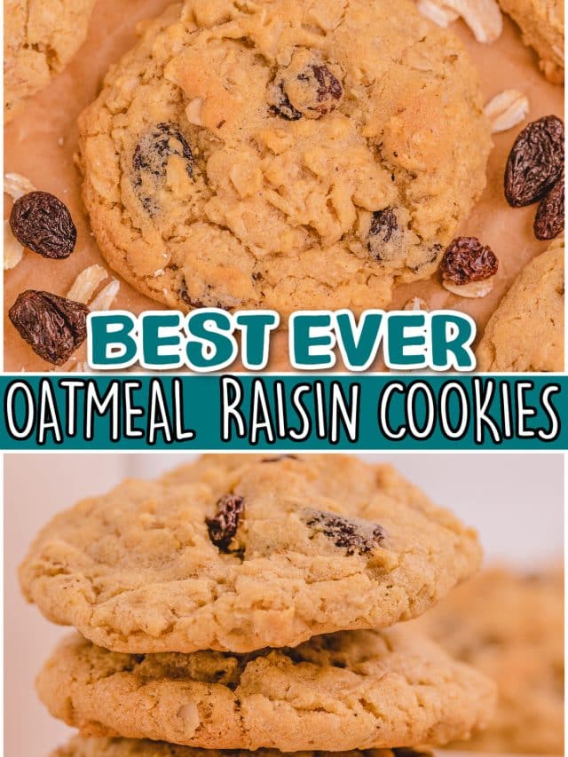 oatmeal-raisin-cookies-family-cookie-recipes