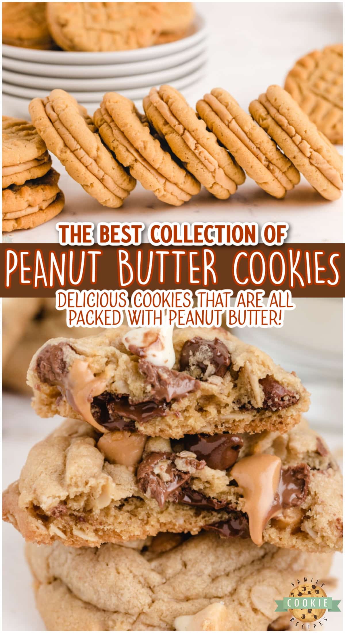 Amazing collection of peanut butter cookie recipes! All of them are easy to make, full of peanut butter and are absolutely delicious.