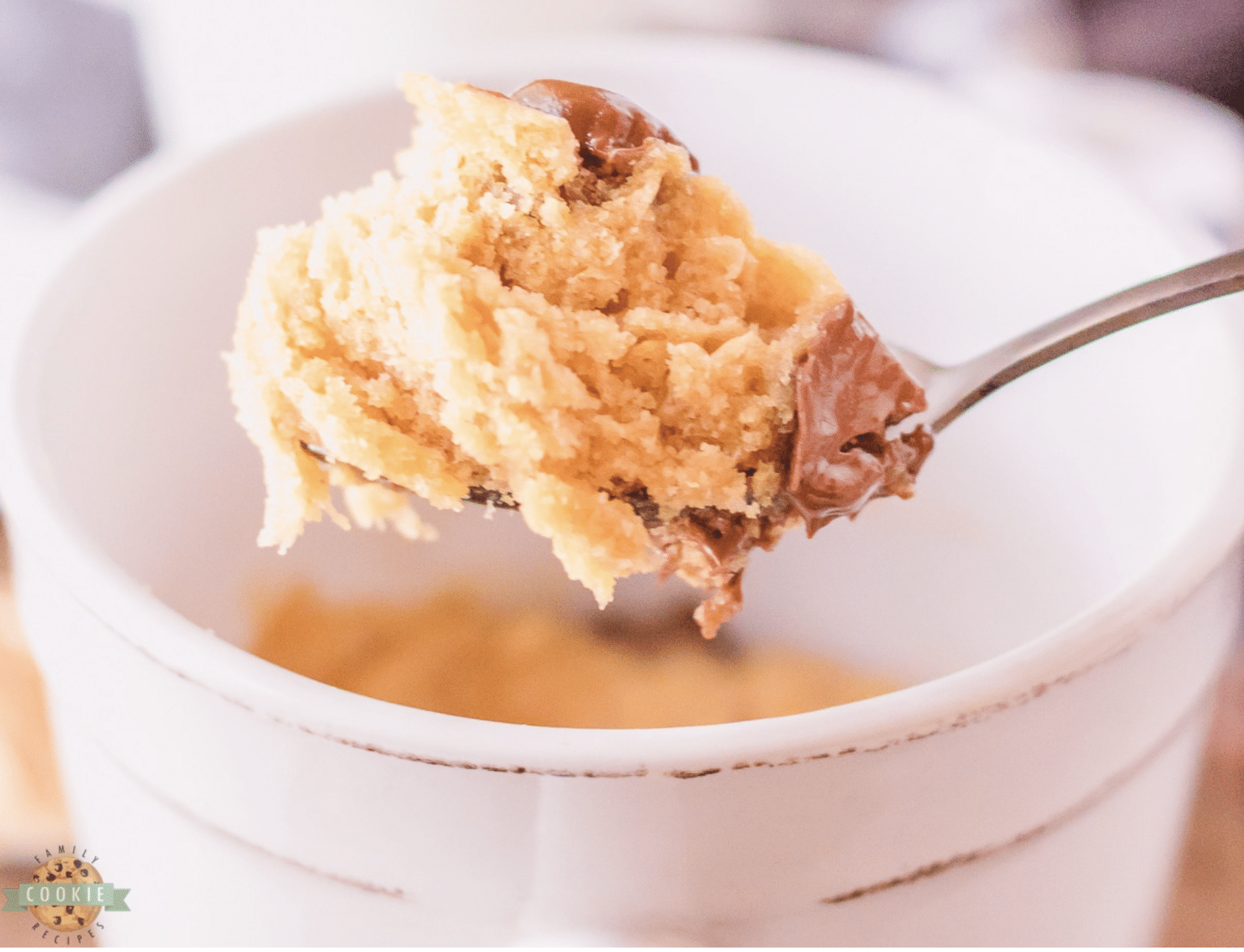 PEANUT BUTTER COOKIE RECIPES Family Cookie Recipes