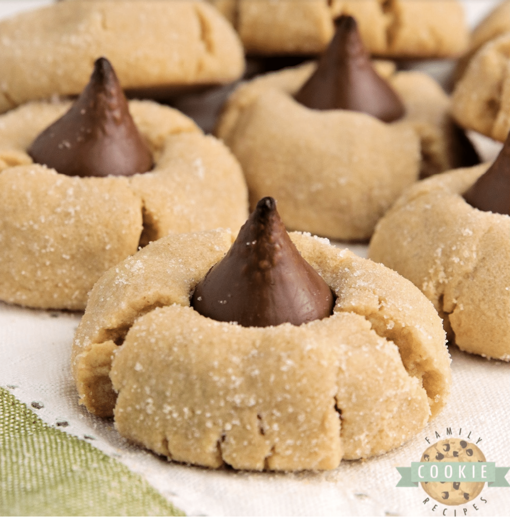 PEANUT BUTTER COOKIE RECIPES Family Cookie Recipes