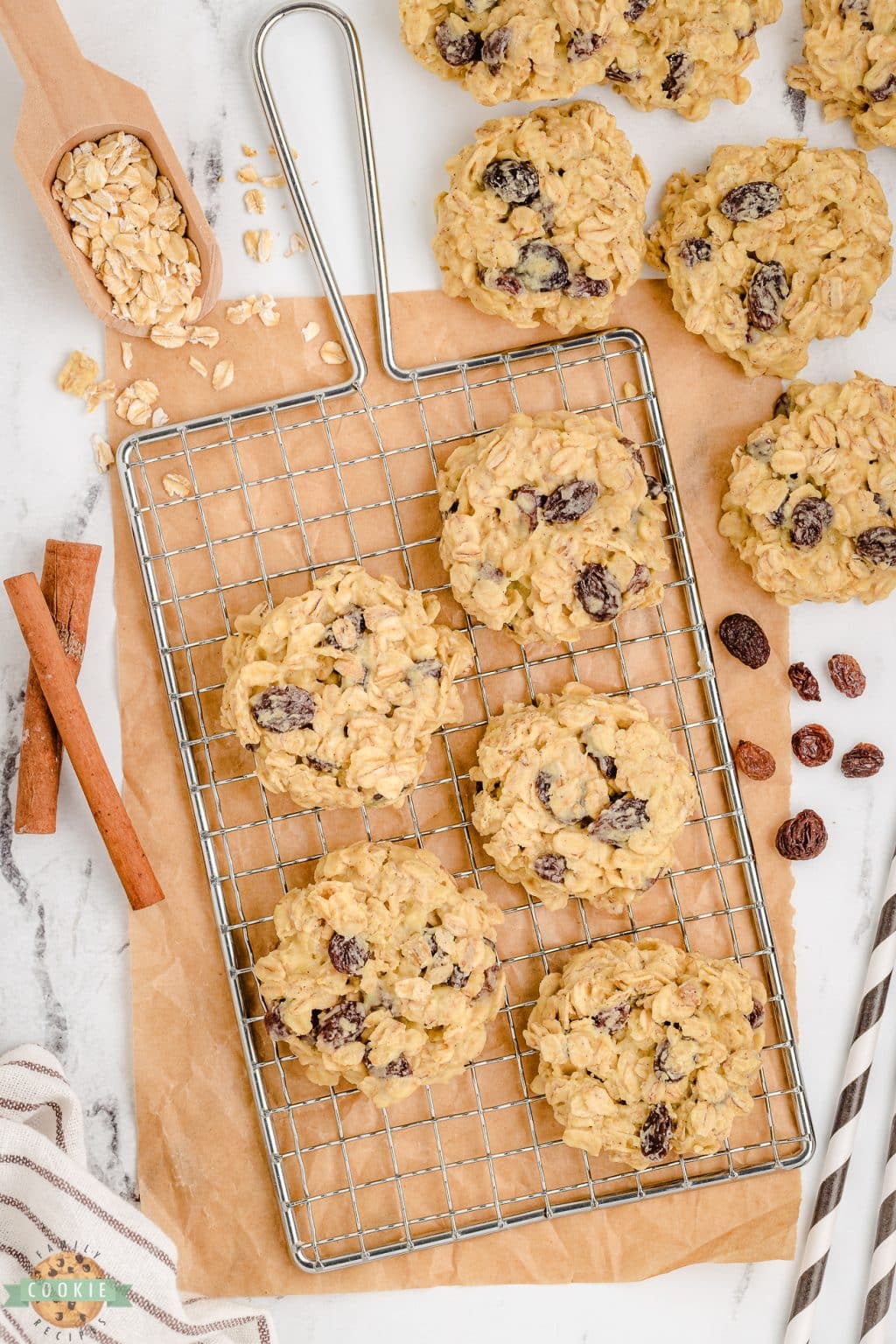 NO BAKE OATMEAL RAISIN COOKIES Family Cookie Recipes