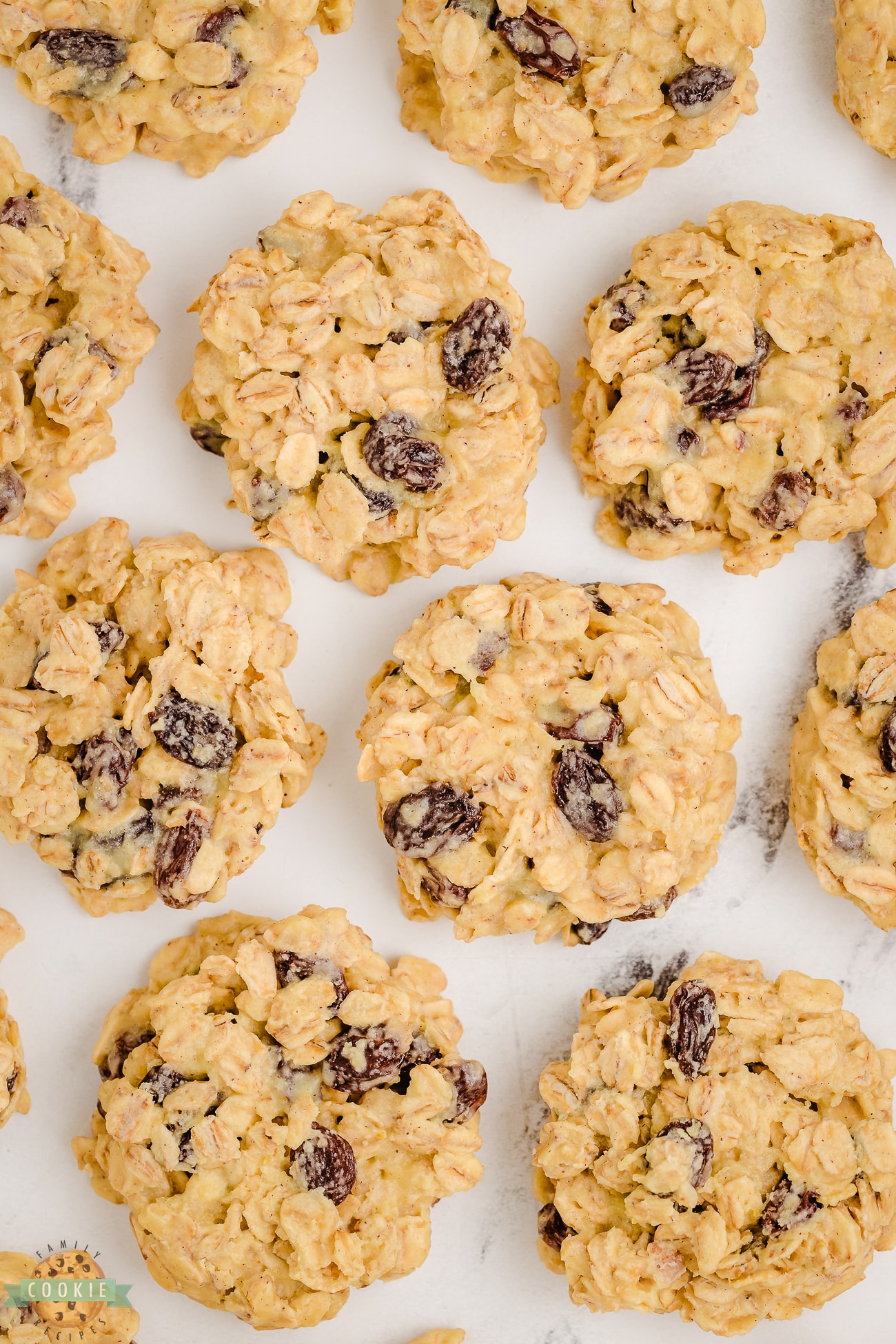 NO BAKE OATMEAL RAISIN COOKIES Family Cookie Recipes