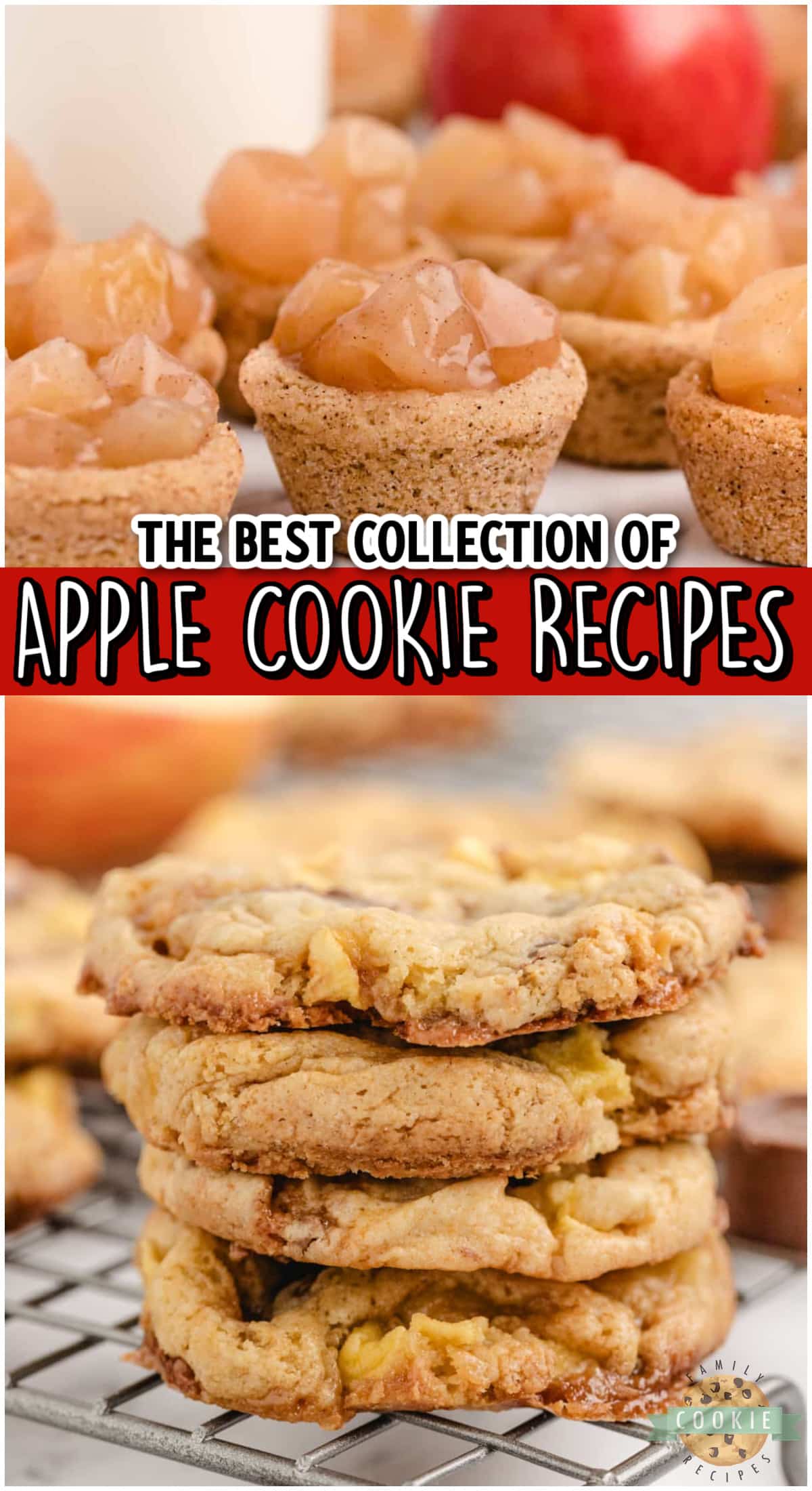 Best Apple Recipes.