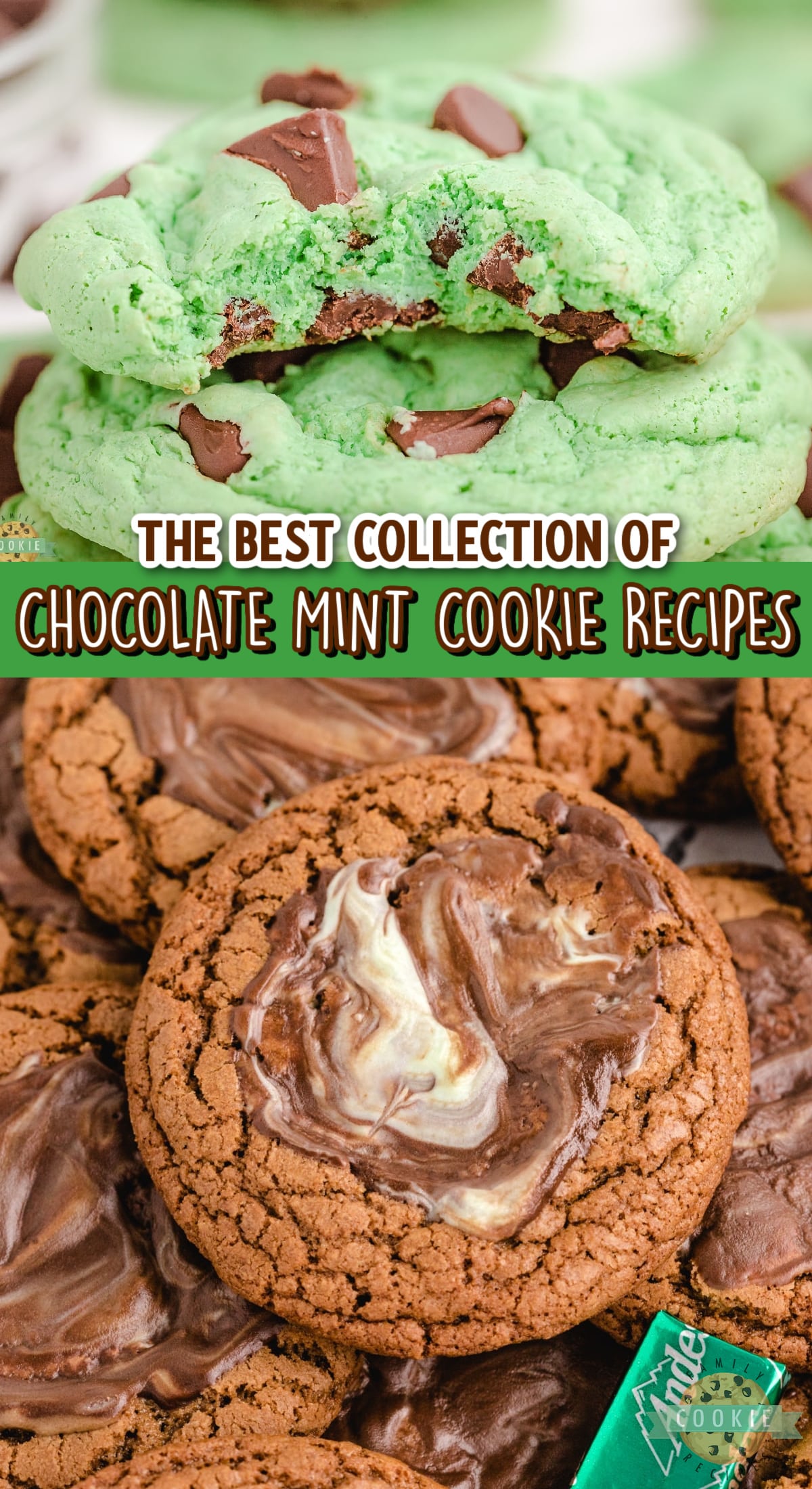 Best collection of chocolate mint cookie recipes. 
