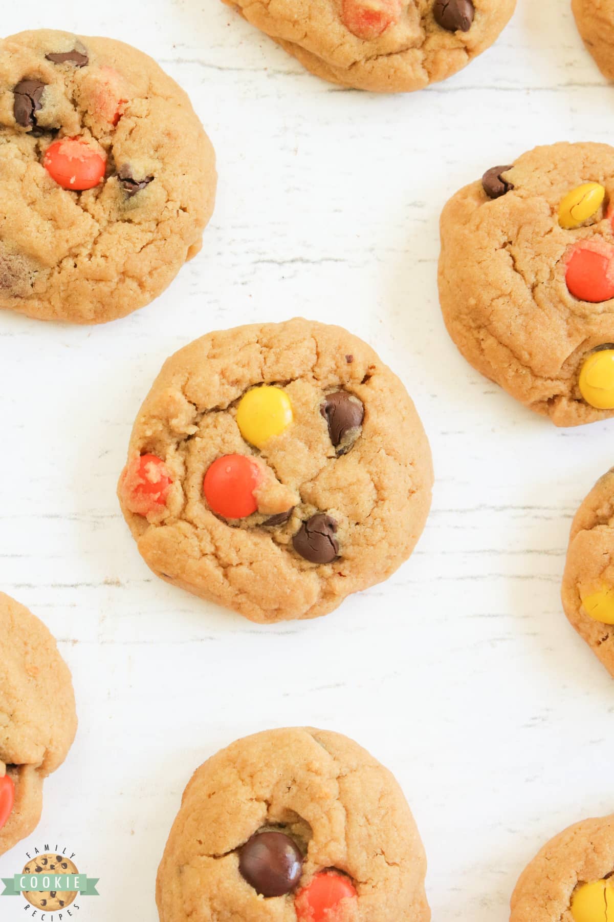 Cream Cheese Peanut Butter Cookies are soft, chewy and packed with peanut butter! Made with Reese's pieces, these peanut butter cookies turn out perfectly every time.