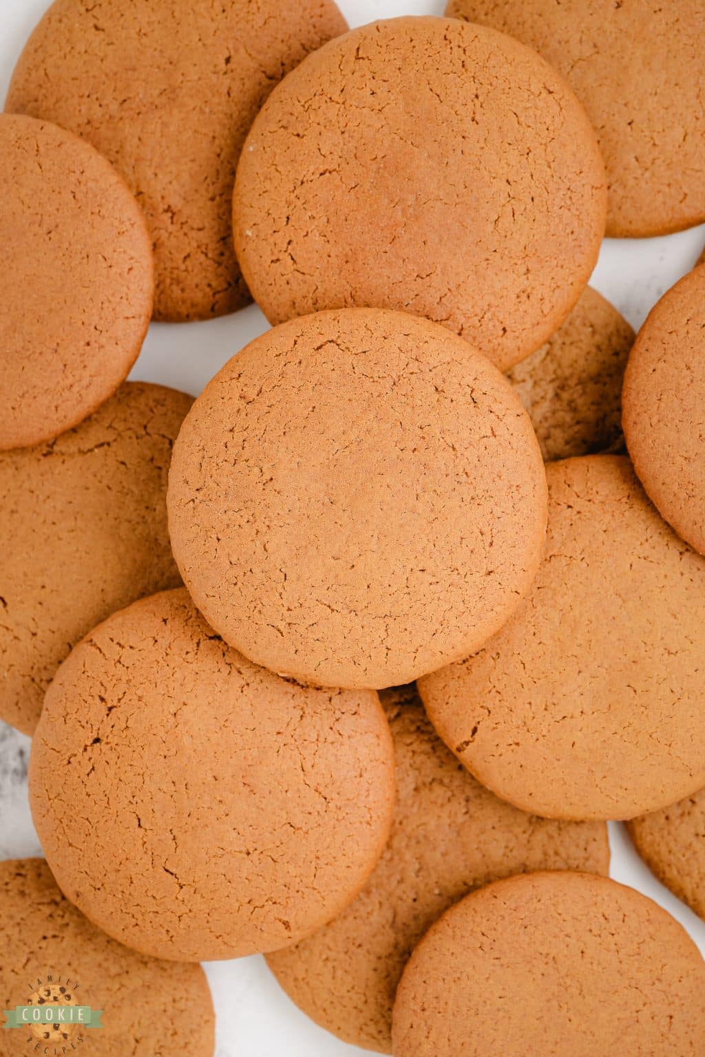 CHEWY MOLASSES COOKIES Family Cookie Recipes