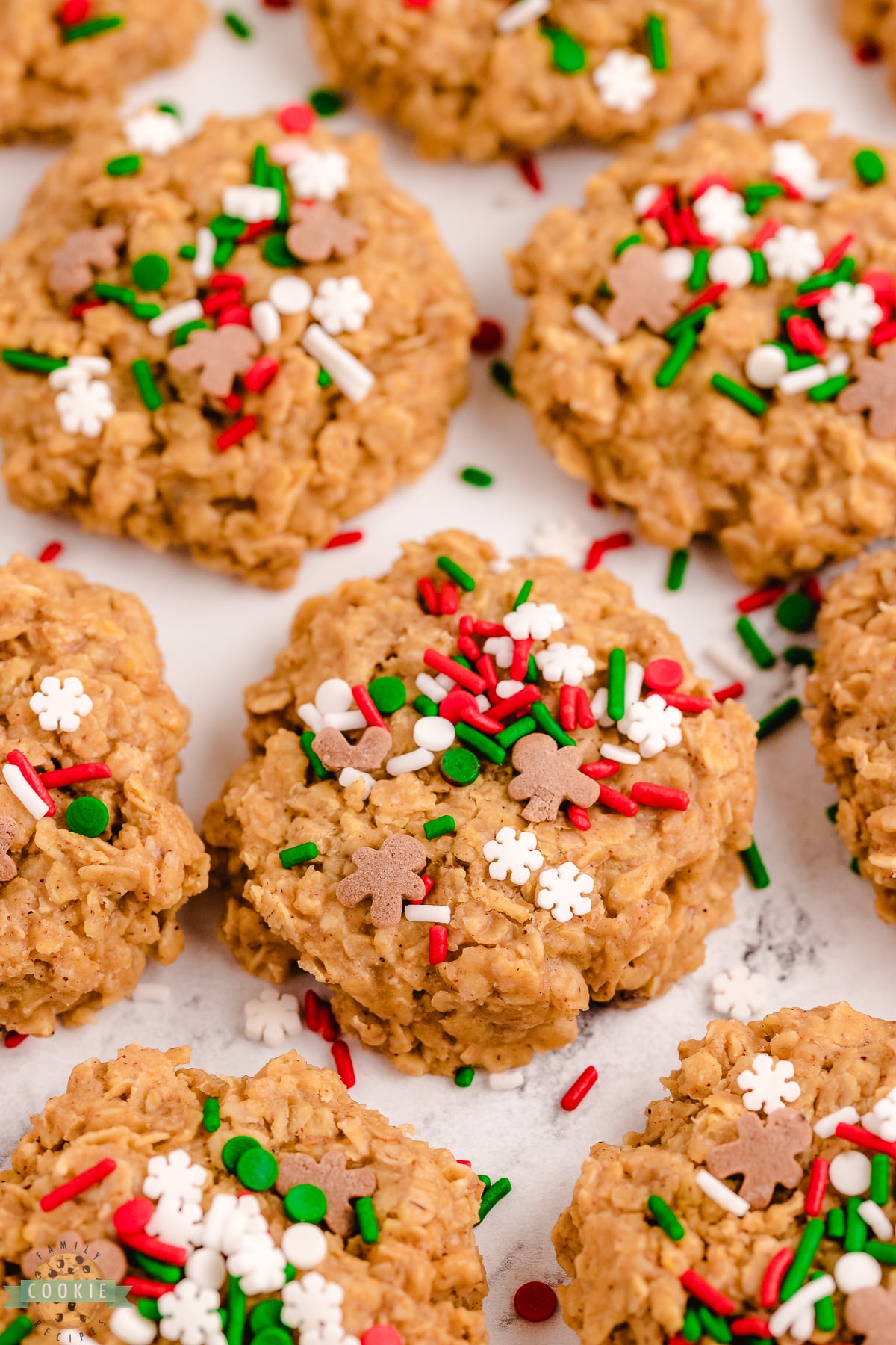 NO BAKE GINGERBREAD COOKIES-image
