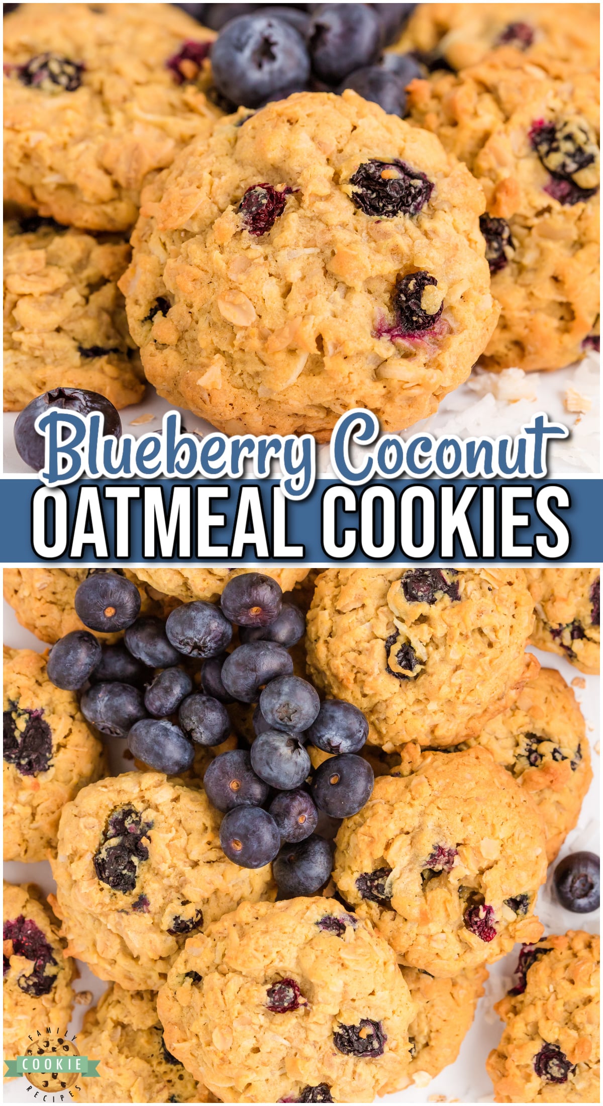 Blueberry Oatmeal Cookies are soft & chewy oatmeal cookies with lovely coconut & fresh blueberries! A delightful twist on oatmeal cookies!