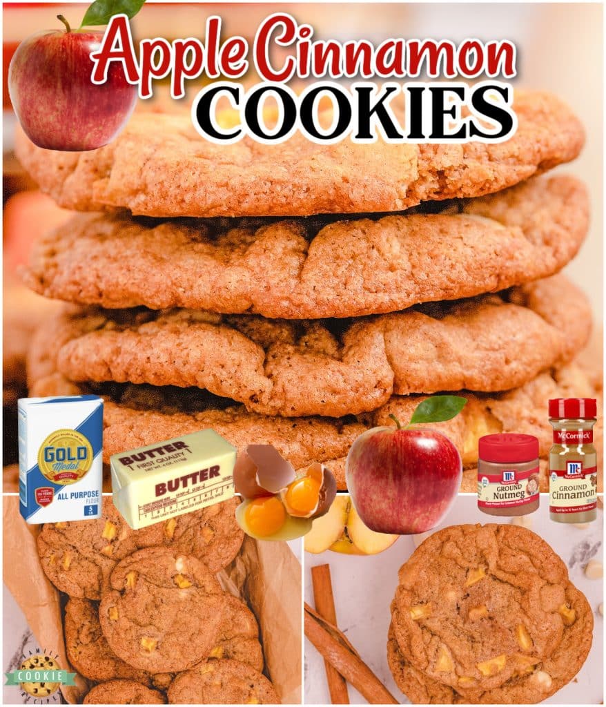 CHUNKY APPLE CINNAMON COOKIES Family Cookie Recipes