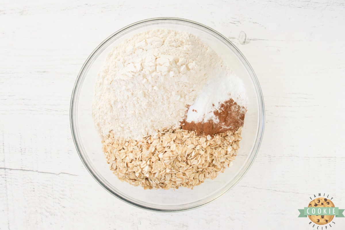 Dry ingredients in a large mixing bowl. 