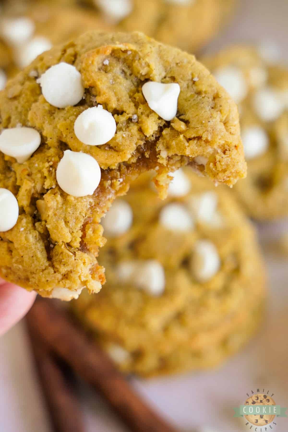 Pumpkin cookies with white chocolate chips.