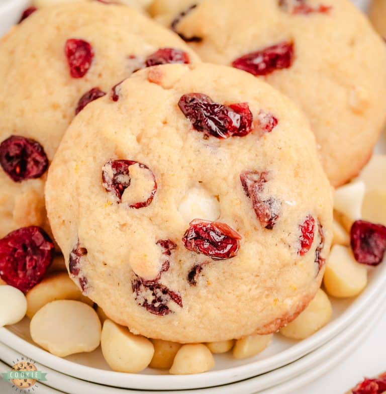 CRANBERRY MACADAMIA NUT COOKIES Family Cookie Recipes