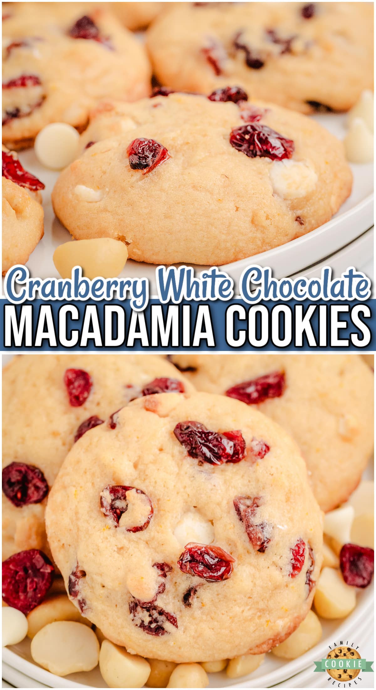 Cranberry Macadamia Nut Cookies is a delightful, festive cookie that combines tart cranberries, white chocolate & crunchy macadamia nuts!