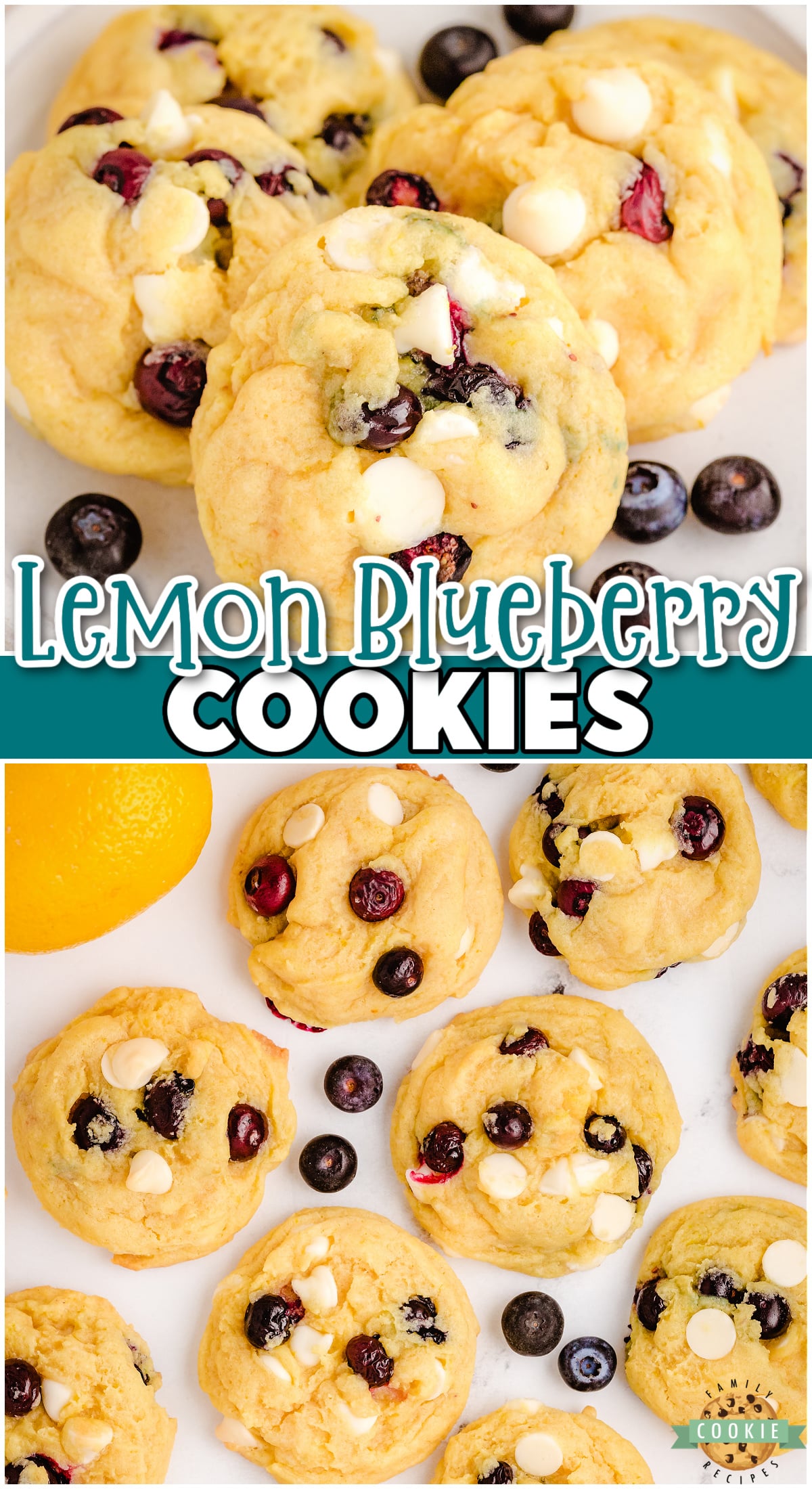 Lemon Blueberry Cookies made with fresh blueberries, folded into a sweet lemon cookie dough! Soft pudding cookie recipe with lovely bright, fresh flavor from blueberries and lemon zest!
