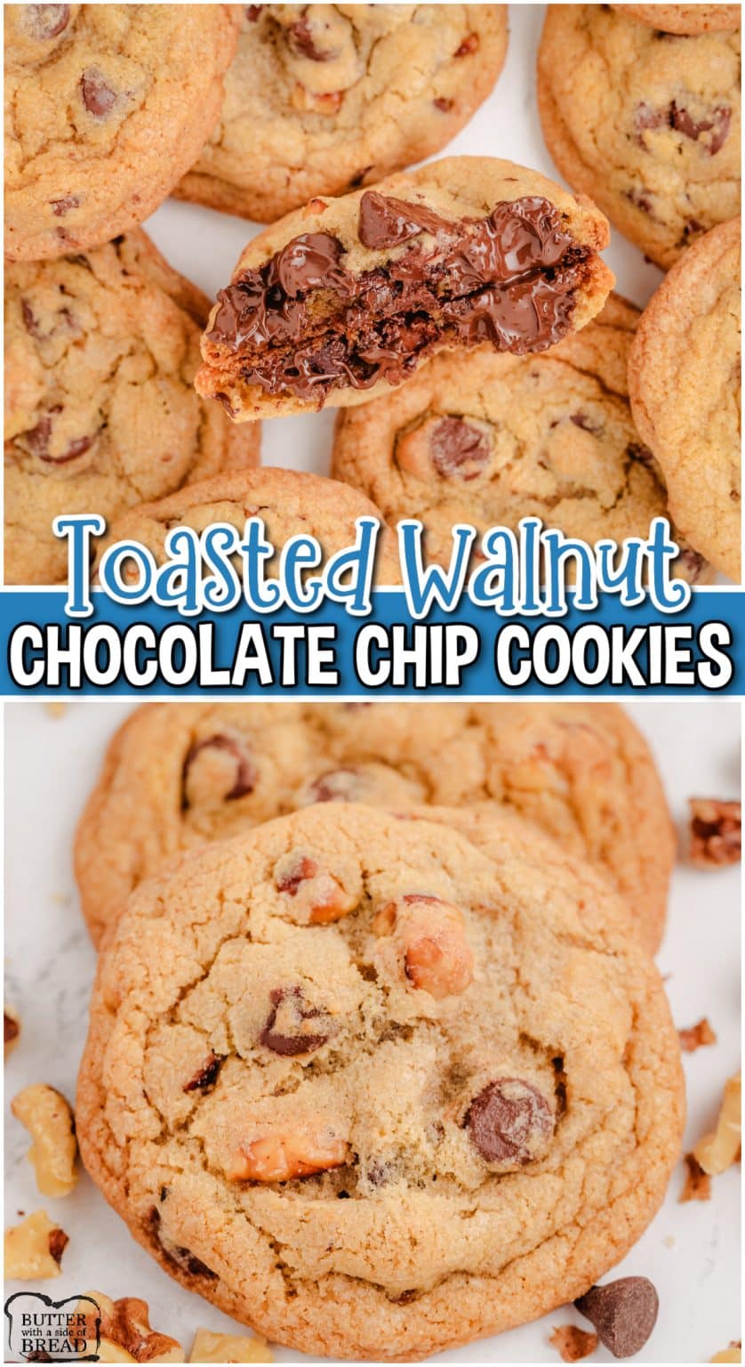 TOASTED WALNUT CHOCOLATE CHIP COOKIES - Family Cookie Recipes